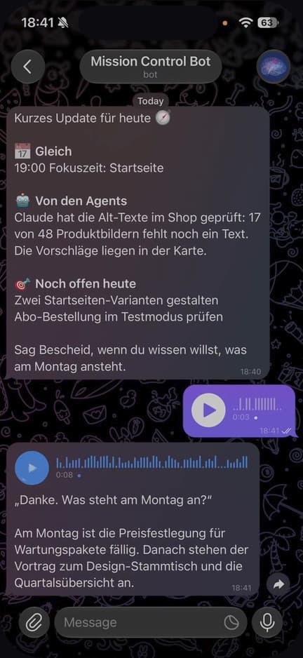 Telegram-Chat mit einem Assistenten: ein Update für heute, eine Frage als Sprachnachricht und die gesprochene Antwort mit Text darunter